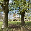 Billede af Jerne Kirke