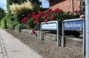 Billede af vej i Haslev